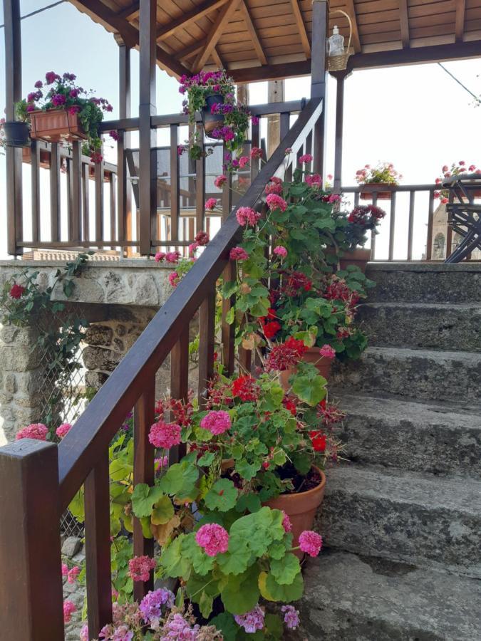Casa Do Pelourinho Villa Rebordainhos Екстериор снимка